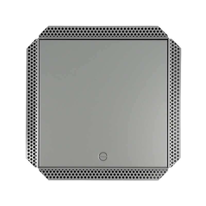 SS-AP250SB åtkomstpanel i stål